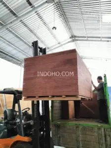 Pemuatan tumpukan besar triplek kontainer 28mm full kruing menggunakan forklift untuk pengiriman ke depo peti kemas.